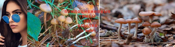 скорость mdpv Балахна